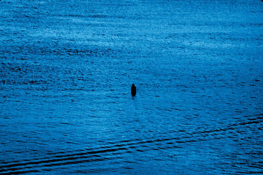 Celia Rogge Hudson River